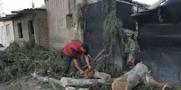 Derrumbe y daños en una casa de Las Heras tras la caída de un árbol por viento Zonda