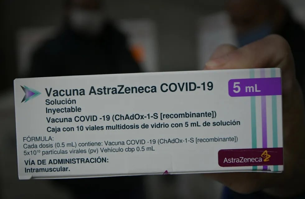 Llegaron 96 mil vacunas AstraZeneca a Mendoza. / Orlando Pelichotti - Los Andes