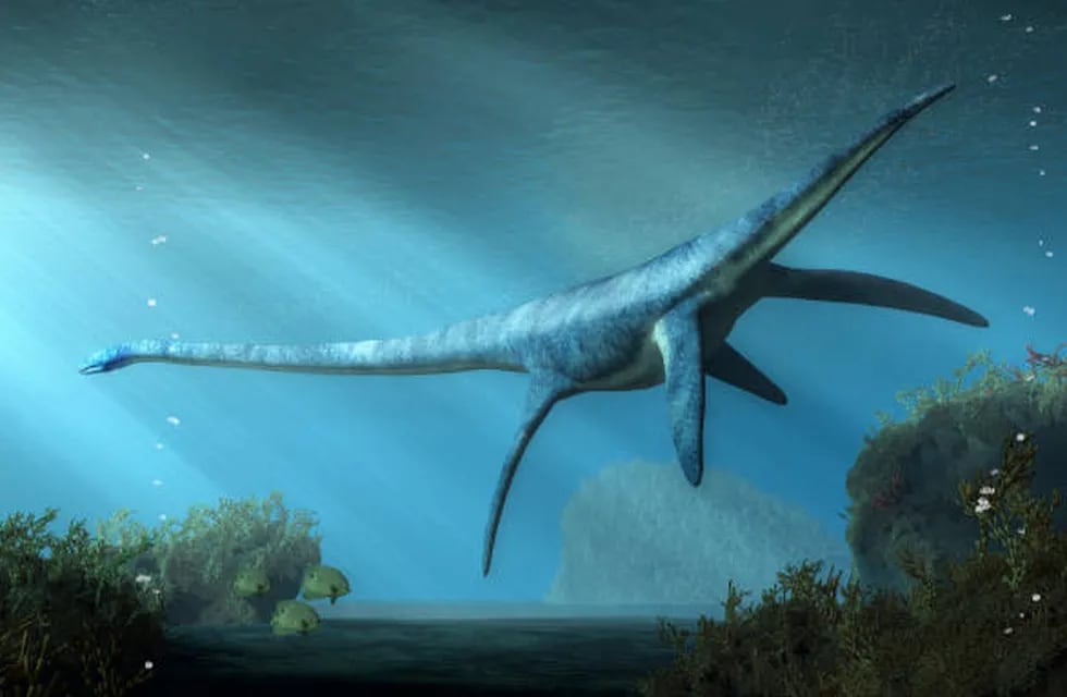 Científicos de la Universidad de Bath, Reino Unido, explican por qué la teoría del Plasiosaurio podría ser verdad.